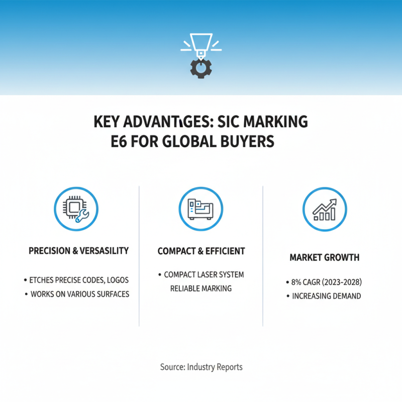 What is Sic Marking E6 and Its Benefits for Global Buyers?