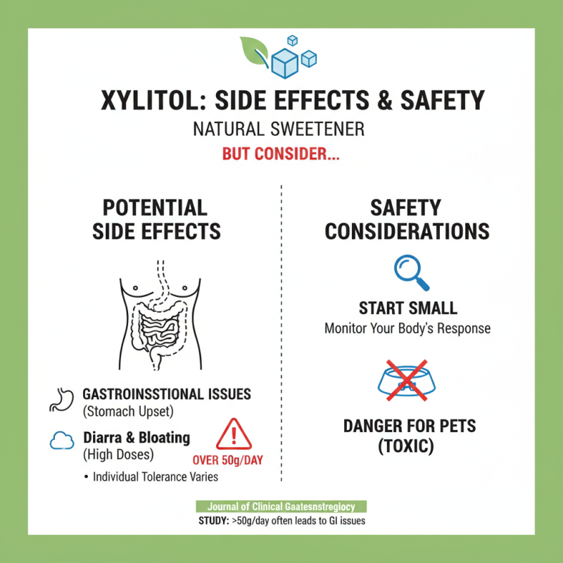 Why Choose Xylitol as Your Natural Sweetener Alternative?