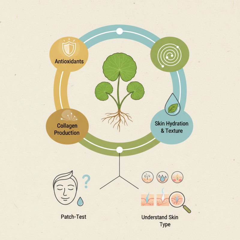 2026 How to Use Centella Asiatica for Skin Benefits?