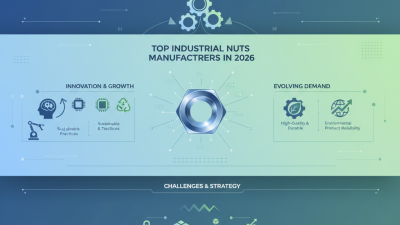 Top Industrial Nuts Manufacturer in 2026 What to Know?