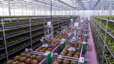 Top Benefits of Pot Tending Machines for Efficient Production?