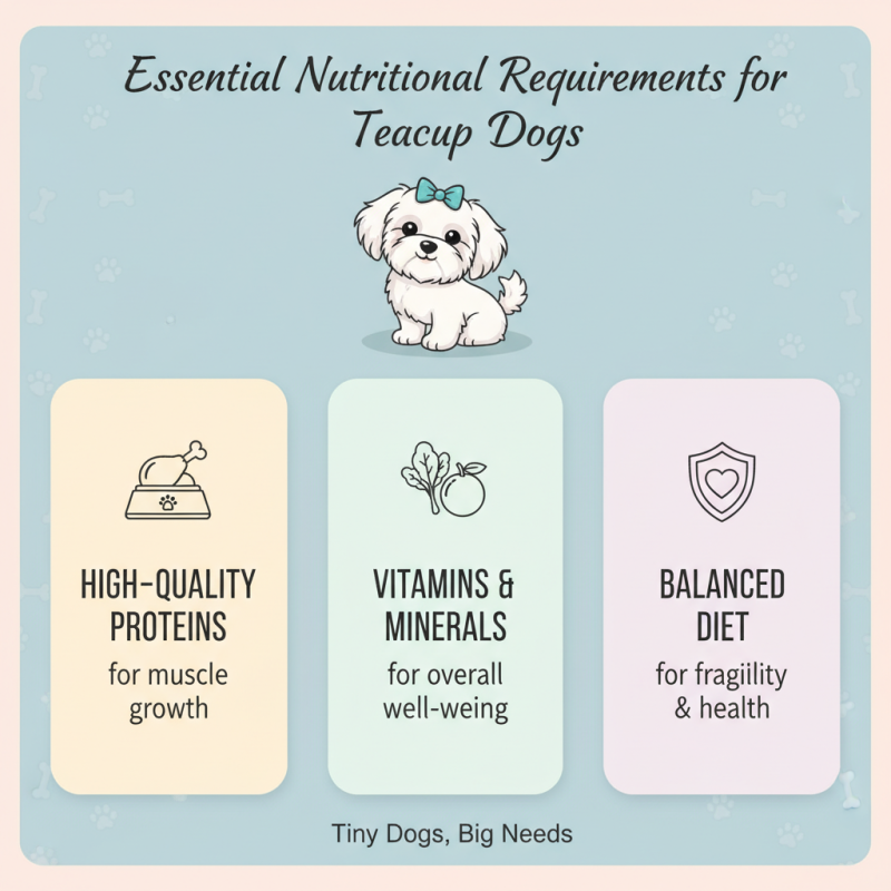 2026 Top Teacup Maltese Dog Care Tips for Global Buyers?