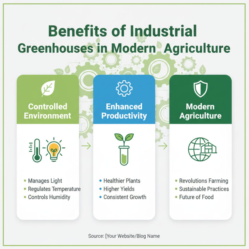 What is an Industrial Greenhouse and How Does it Work?
