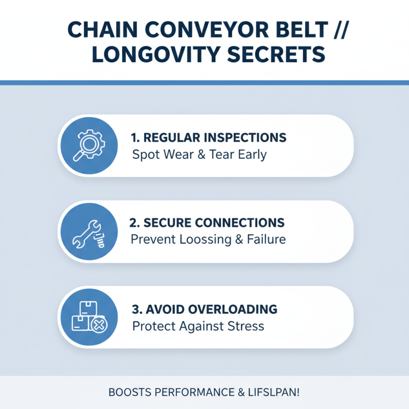 Top 5 Best Chain Conveyor Belt Options for Efficient Material Handling?