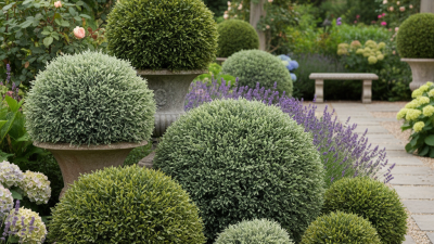 How to Choose the Best Artificial Topiary Ball for Your Garden?
