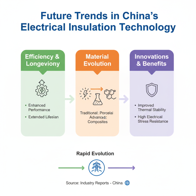 China Top Insulators Types for Electrical Applications Explained?