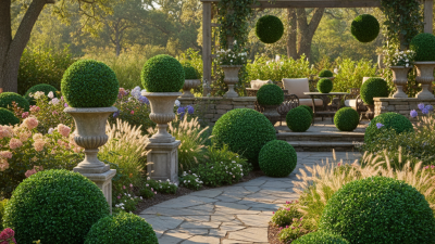 Why Choose Artificial Topiary Balls for Your Garden Decor?