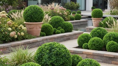 Top Benefits of Using Artificial Topiary Ball in Landscaping?