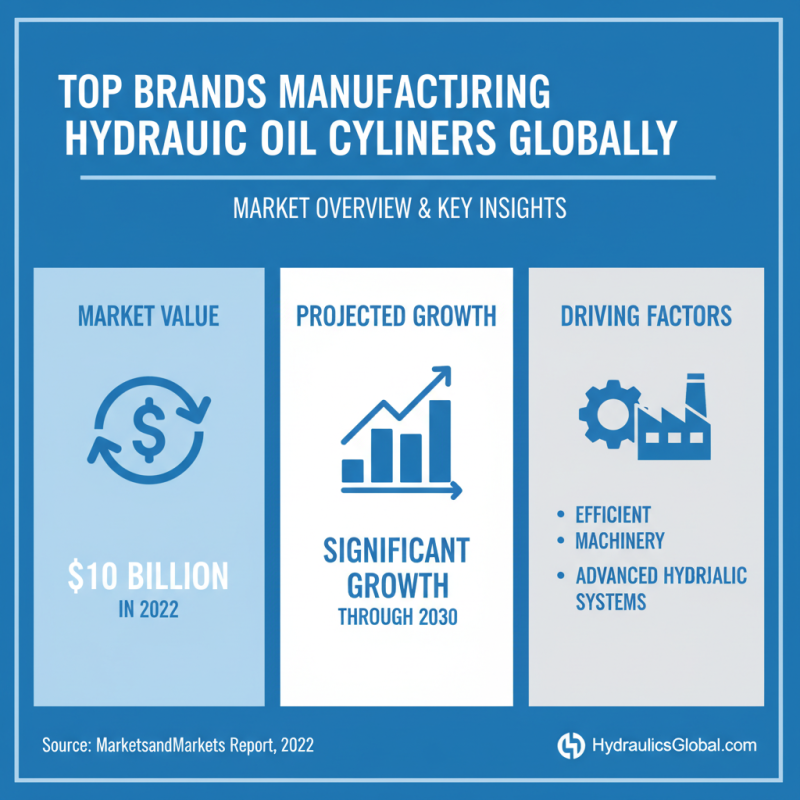 Top 10 Hydraulic Oil Cylinder Options for Global Buyers?