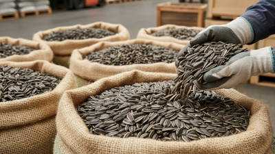How to Import 40 lb Sunflower Seeds for Your Business?