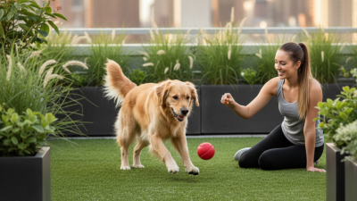 Top 10 Benefits of Using Artificial Pet Grass Mats for Dogs?