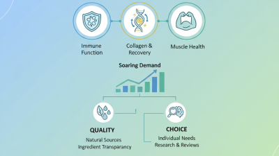 Top Lysine Supplements for Global Buyers in 2026?