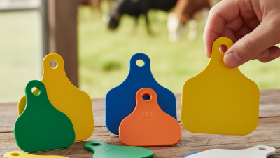 How to Choose the Best TPU Ear Tag for Your Livestock?