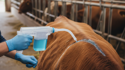 Top Livestock Pour-On Applicator for Global Buyers?