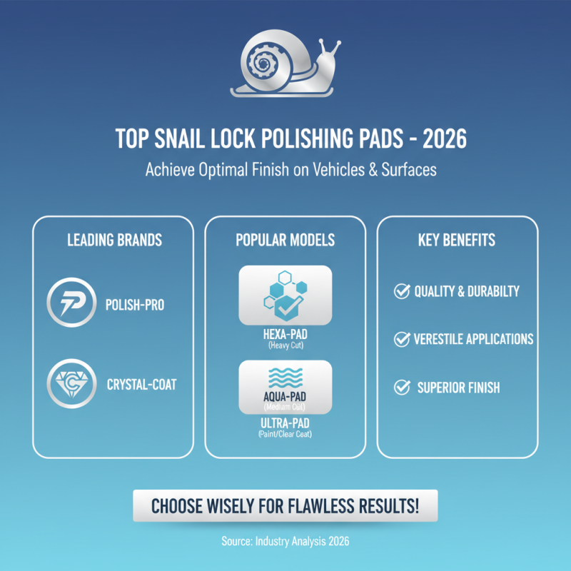 2026 Best Snail Lock Polishing Pad for Optimal Finish?