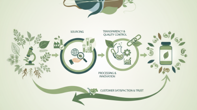 How to Source High Quality Plant Extracts for Your Business?