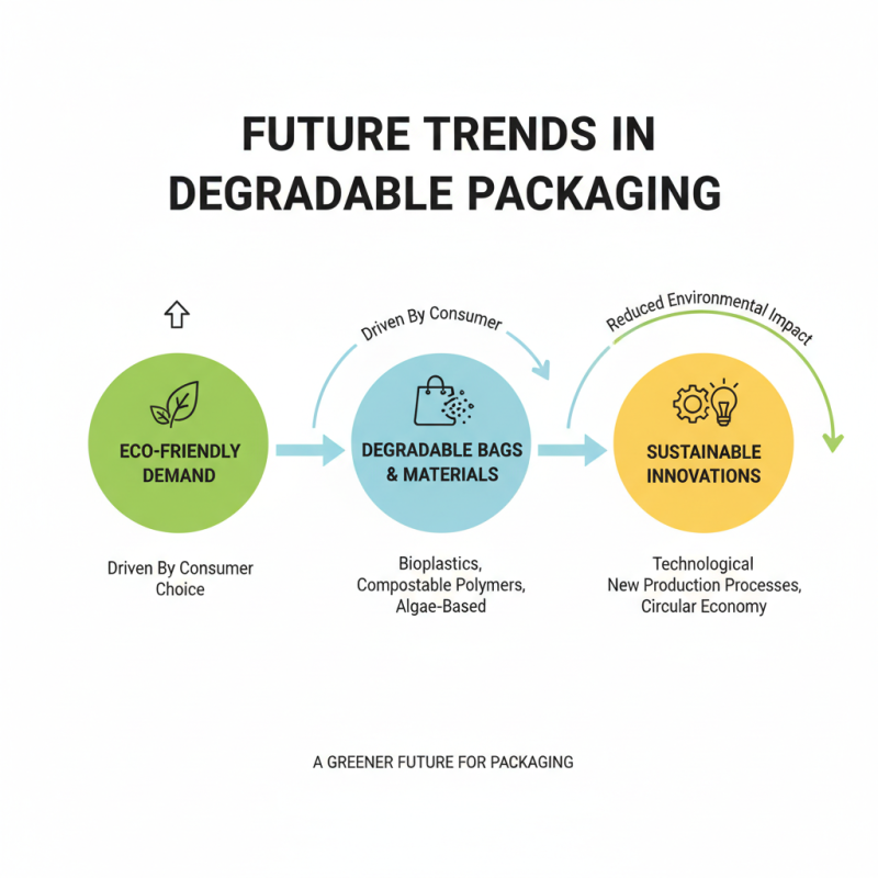 Best Degradable Bags for Eco-Friendly Packaging Solutions?