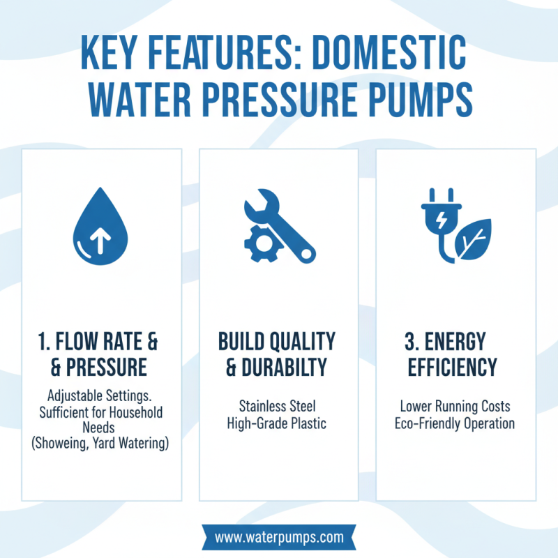 2026 Top Domestic Water Pressure Pump Options to Consider?