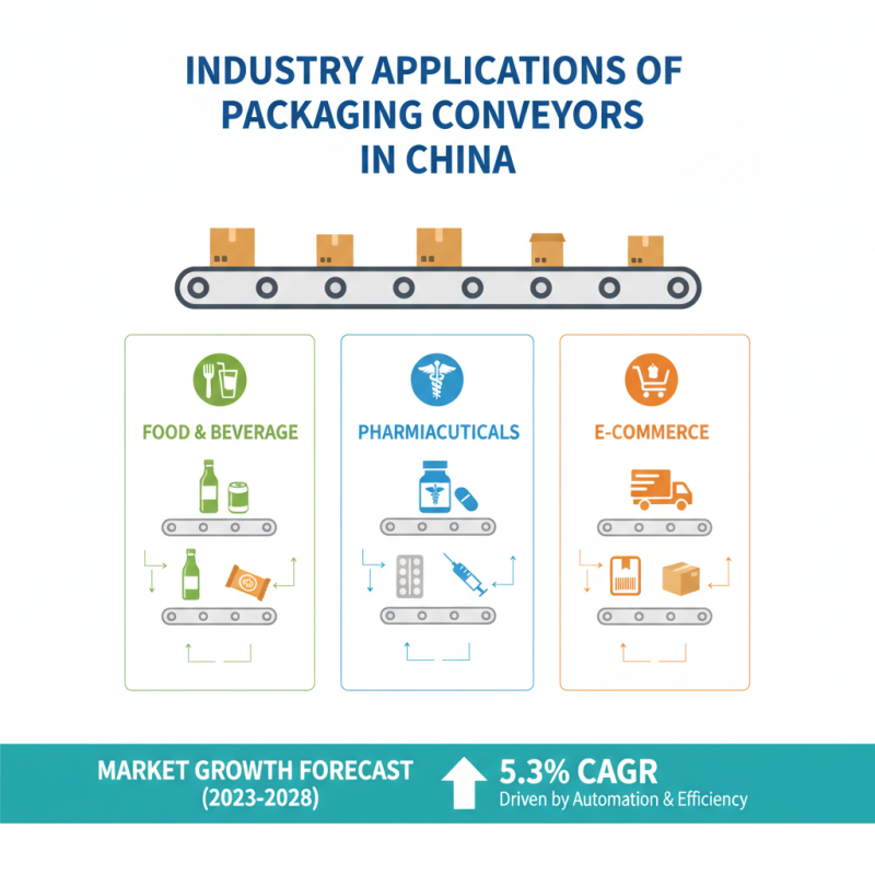 Top 10 Packaging Conveyors in China You Must Know?