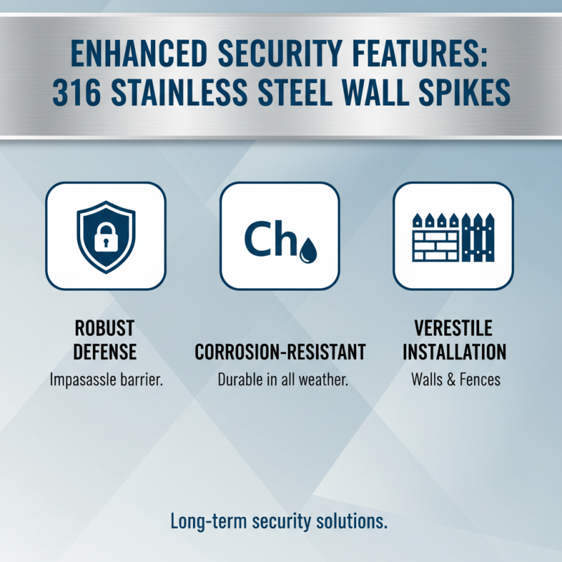 Top 10 Benefits of Using 316 Wall Spikes for Security?