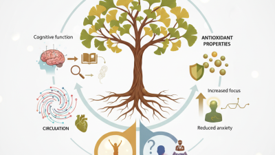 What is Ginkgo Biloba Extract and its Benefits for Buyers?