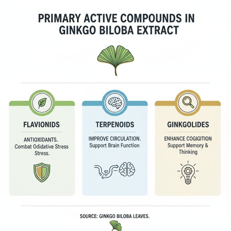 What is Ginkgo Biloba Extract and its Benefits for Buyers?