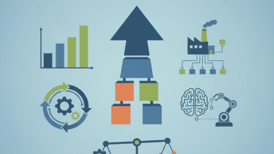 Top Conveyor and Automation Solutions for Global Buyers?
