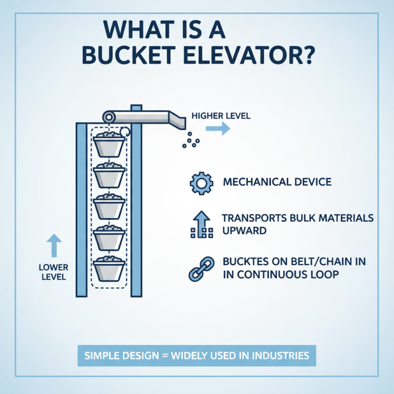 What is a Bucket Elevator and How Does it Work?