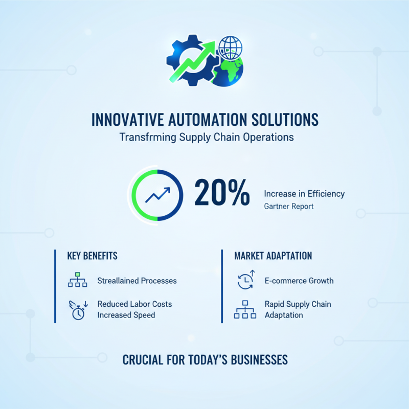 Top Conveyor and Automation Solutions for Global Buyers?