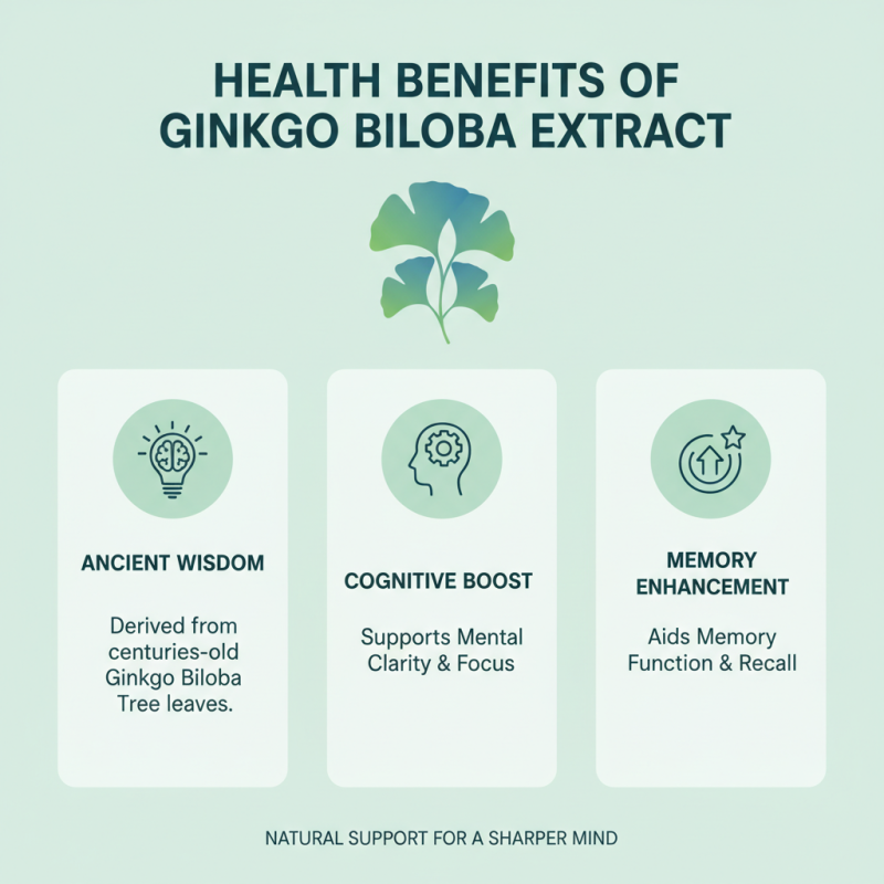 What is Ginkgo Biloba Extract and its Benefits for Buyers?