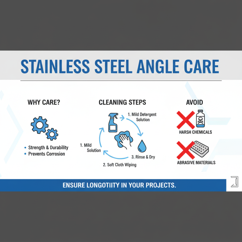 2026 Best Stainless Steel Angle Options for Your Projects?