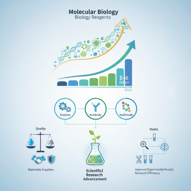 2026 Best Molecular Biology Reagents for Global Buyers?