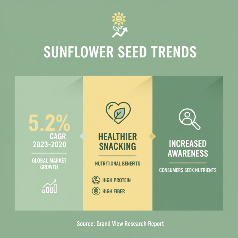 2026 Best Sunflower Seeds Bakery Grade for Global Buyers?