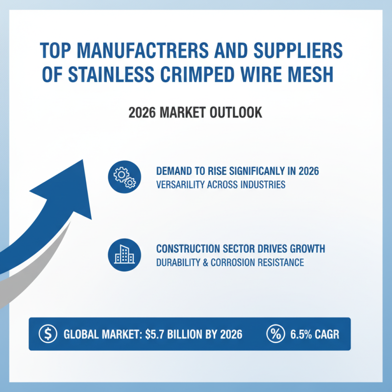 2026 Best Stainless Crimped Wire Mesh for Global Buyers?