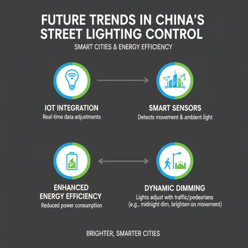 China Top 10 Street Lighting Control Solutions for Global Buyers?
