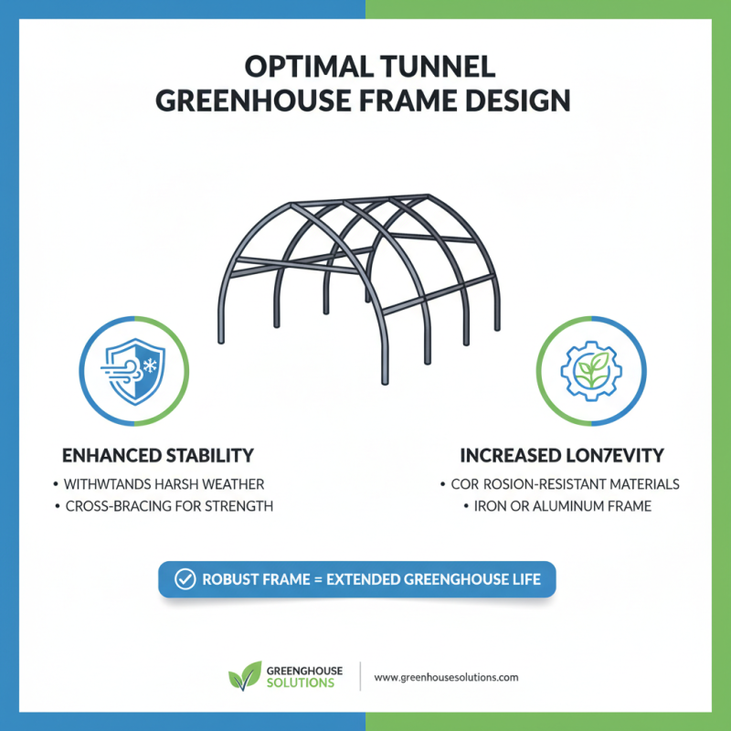 Best Tunnel Greenhouse Design Tips for Global Buyers?