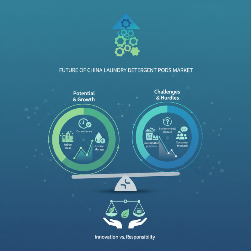 What is the Future of China Laundry Detergent Pods Market?