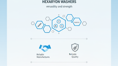 China Best Hexagonal Washers for Global Buyers Guide?