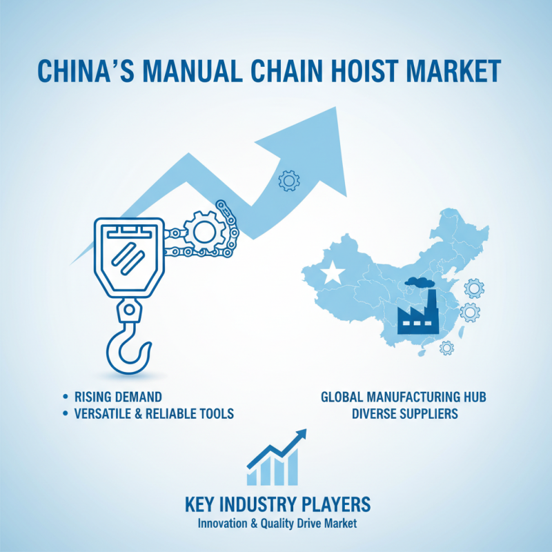 Top Manual Chain Hoist Suppliers in China for Global Buyers?