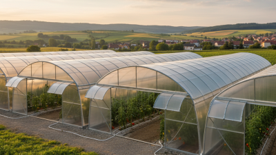 Best Tunnel Greenhouse Design Tips for Global Buyers?