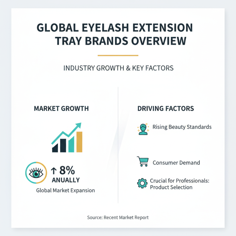 Top 10 Eyelash Extension Tray Options for Global Buyers?