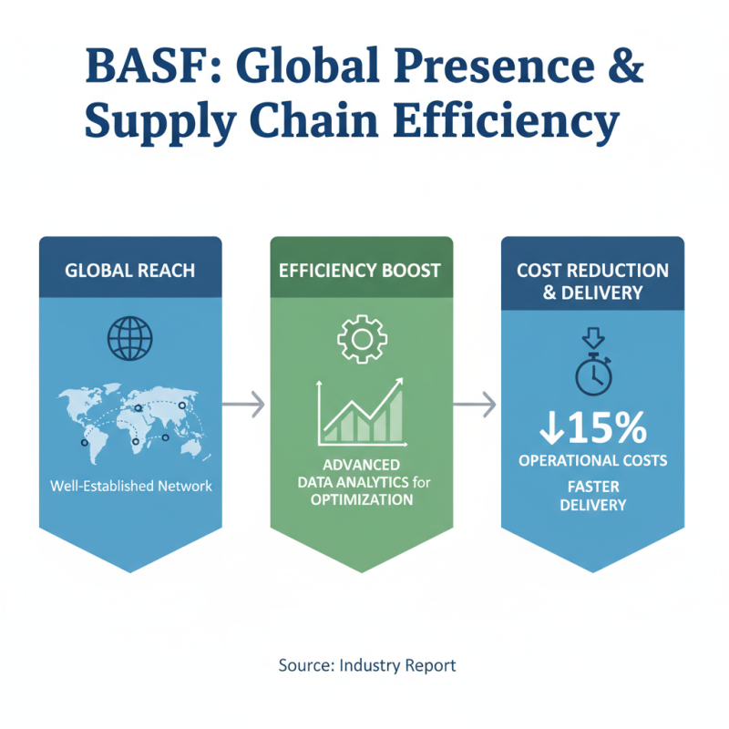 Why Choose BASF Chemicals for Your Global Sourcing Needs?