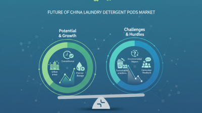 What is the Future of China Laundry Detergent Pods Market?