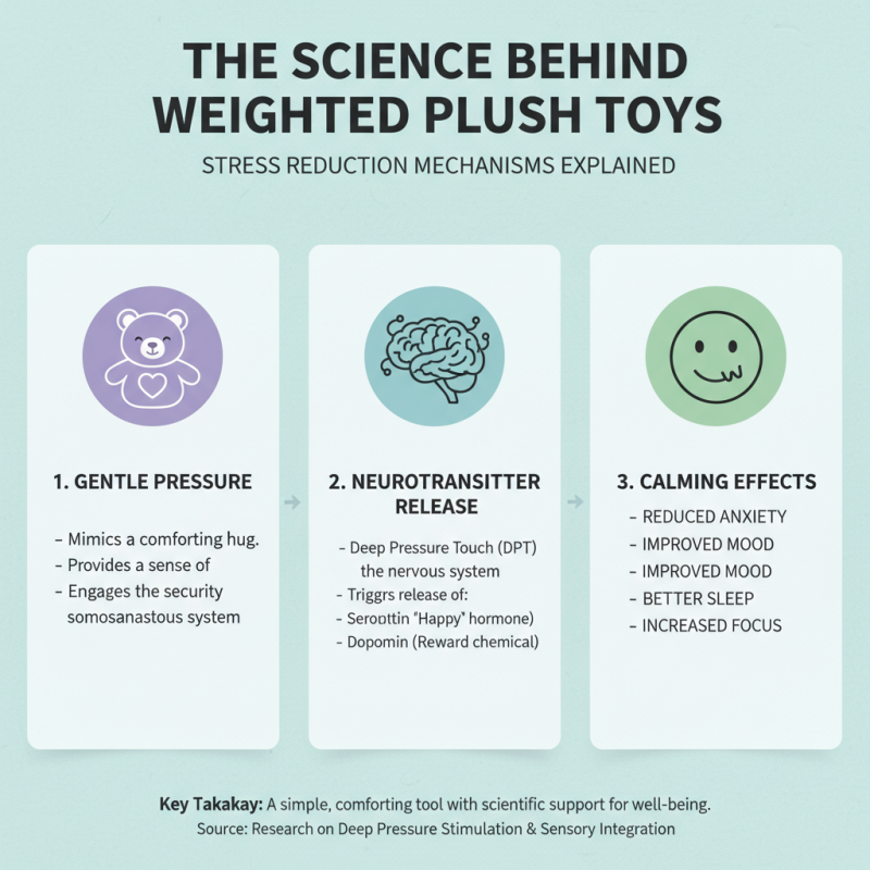 Top Weighted Plush Toys for Comfort and Relaxation in Everyday Life?