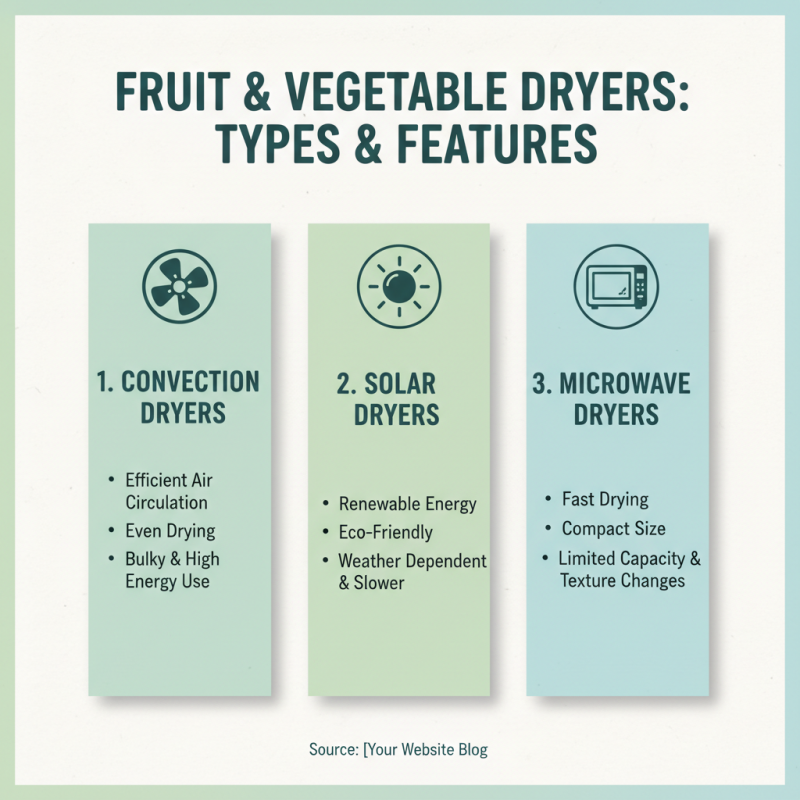 How to Choose the Best Fruit Vegetable Dryer for Your Needs?
