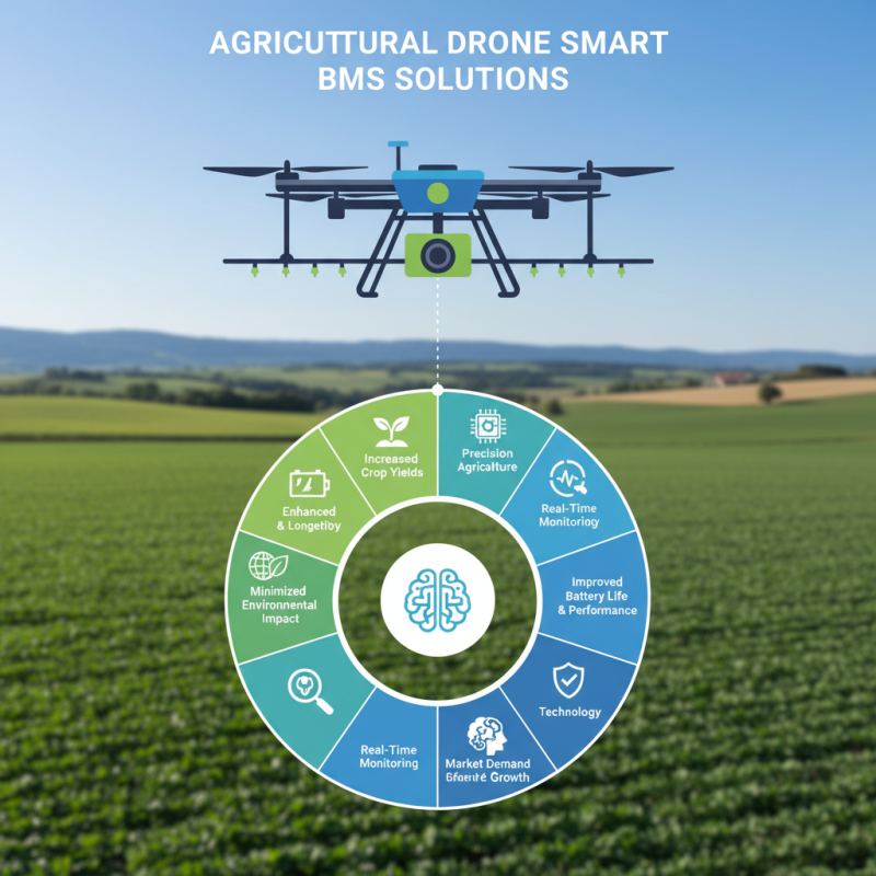 China Top 10 Agricultural Drone Smart BMS Solutions for Buyers?
