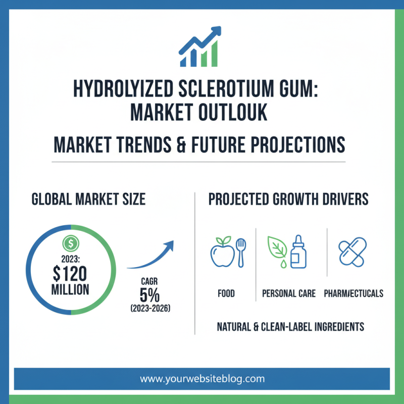 2026 Best Hydrolyzed Sclerotium Gum for Global Buyers?