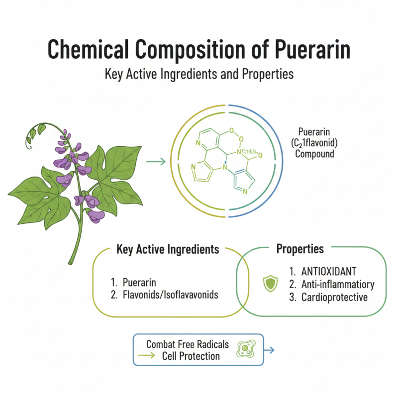 2026 How to Use Pueraria Lobata Extract Puerarin for Health Benefits?