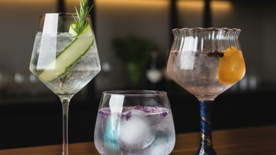 Top Gin Glass Trends for 2026 What to Look For?