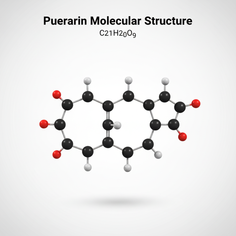 2026 How to Use Pueraria Lobata Extract Puerarin for Health Benefits?